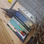 Photo by Rhirhireader (@ReadingwithRhi)