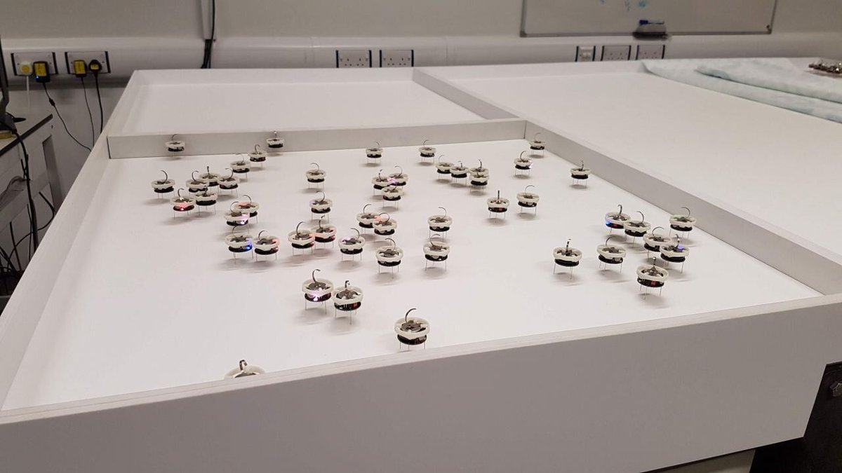 scottturneruon's tweet photo. Less communication among #robots allows them to make better decisions https://t.co/DNbs88zdmW #swarmrobots #swarm https://t.co/uZQIrEoF1W