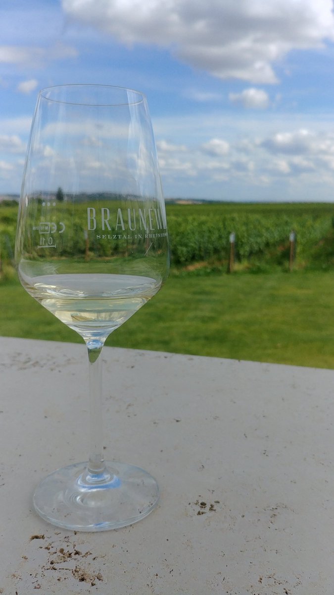 pcbritz's tweet photo. Gleich mal Provence-Feeling in der neuen Hood genießen!
@braunewell #essenheim #weinlandpfalz https://t.co/M49XNRFYuH