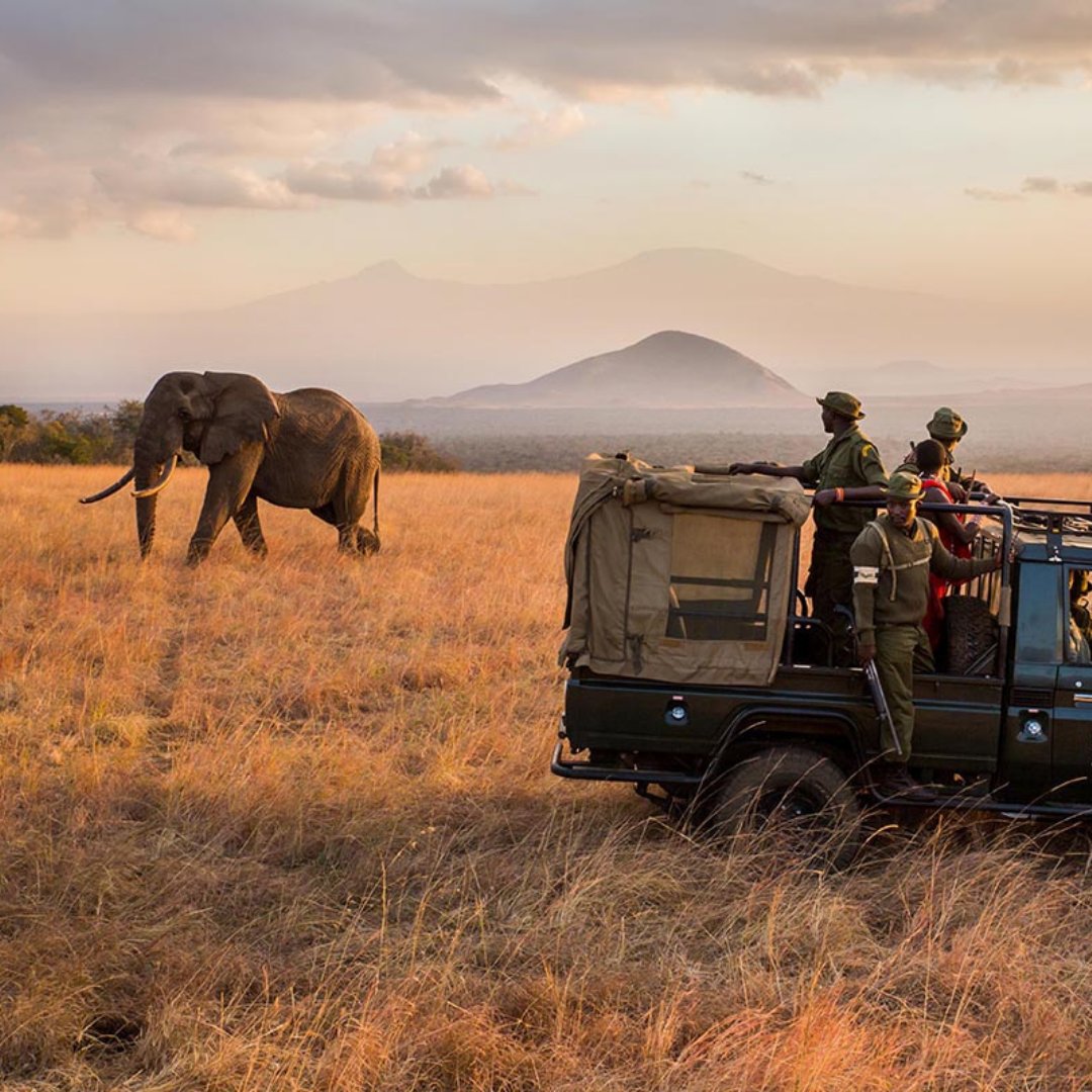 Today, we celebrate #WorldRangerDay to commemorate Rangers who have been killed or injured in the line of duty while working to protect our planet’s wildlife and cultural heritage. These honorable rangers face danger daily as the frontline warriors across the globe. 
🐘🐘🐘