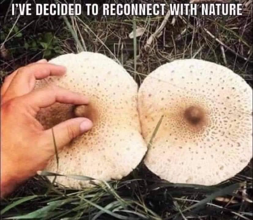 MUSHROOM TITTIES https://t.co/Yku7snIqY3