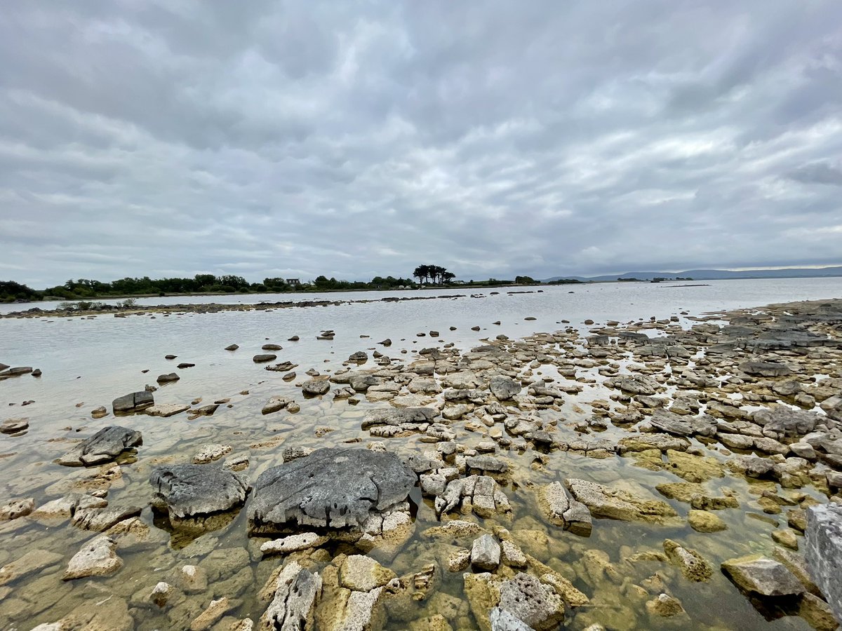 UniOfGalwaySU's tweet photo. #LoughCorrib 😍
#Galway #Corribean🏝 https://t.co/0aOyyktp2j