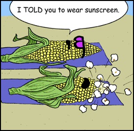Food Funny... I told you to wear sunscreen! #APFR #APlaceForRecipes #CookingWithAPlaceForRecipes #Cooking #Foodie #Foodies #Cook #recipes #FoodFunny