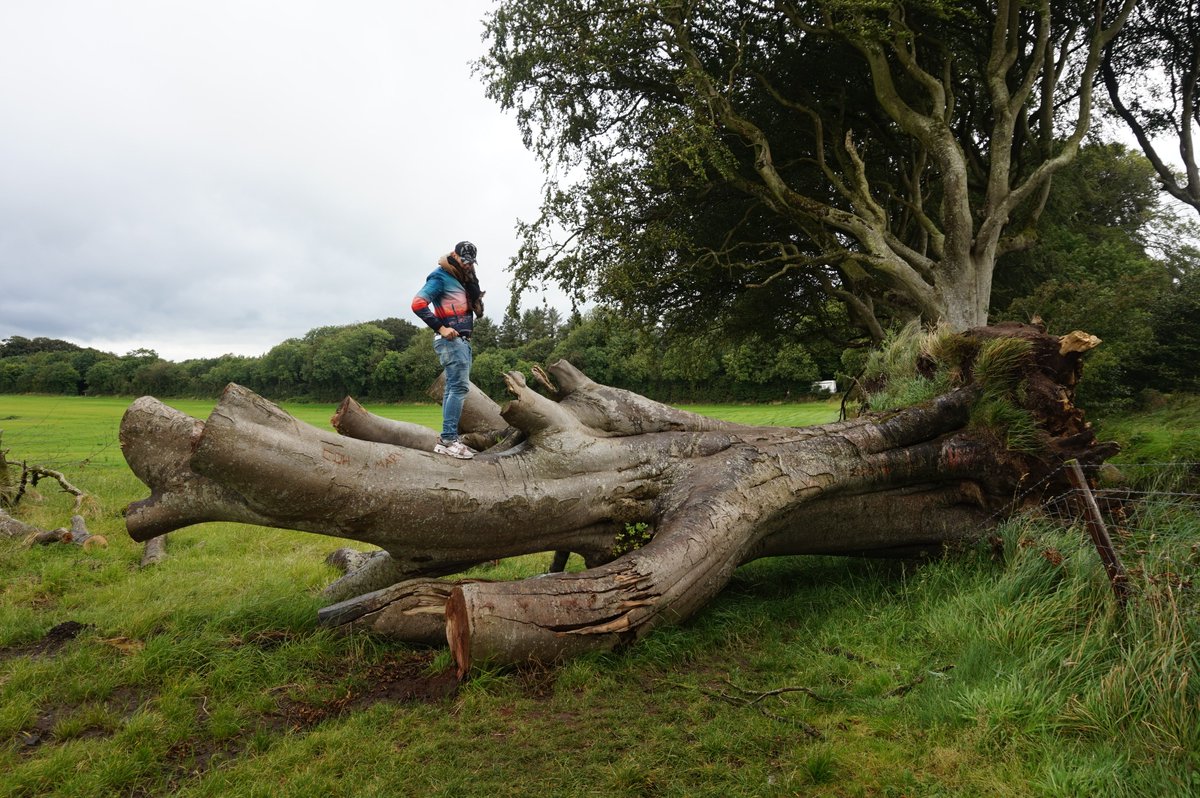 Marisa Oliver tweet media