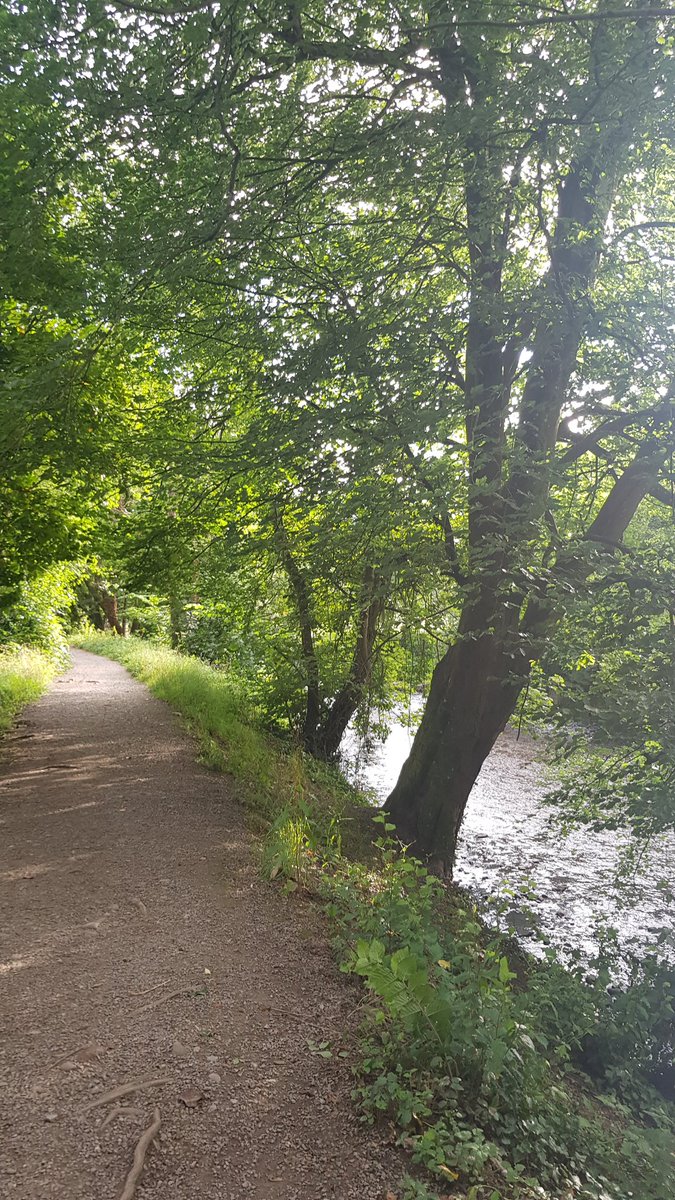 Chris Bimson tweet media