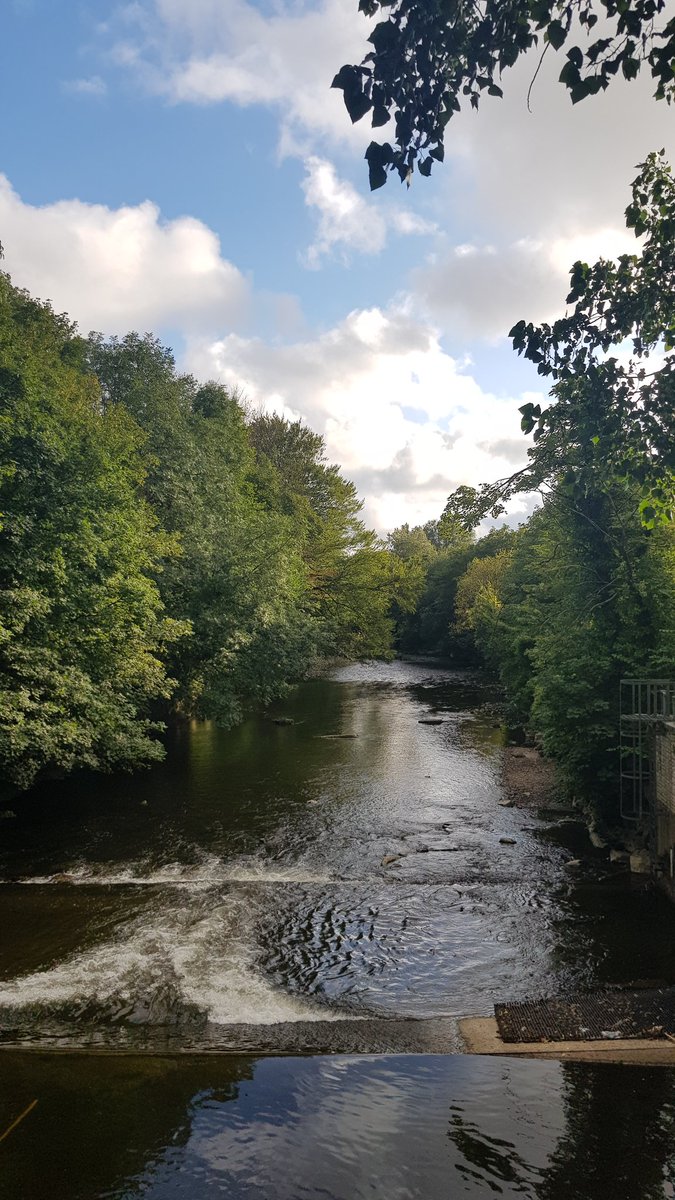 Chris Bimson tweet media