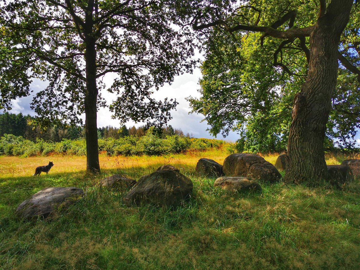 Loop van de Hunze en Hondsrug, door een prachtig stukje #Drenthe 🍀 <a href="/drentslandschap/">Het Drentse Landschap</a>
#Valthe #mooidrenthe  #oerdrenthe #drenthedoetwatmetje
