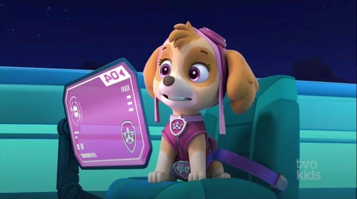 Skye tweet media