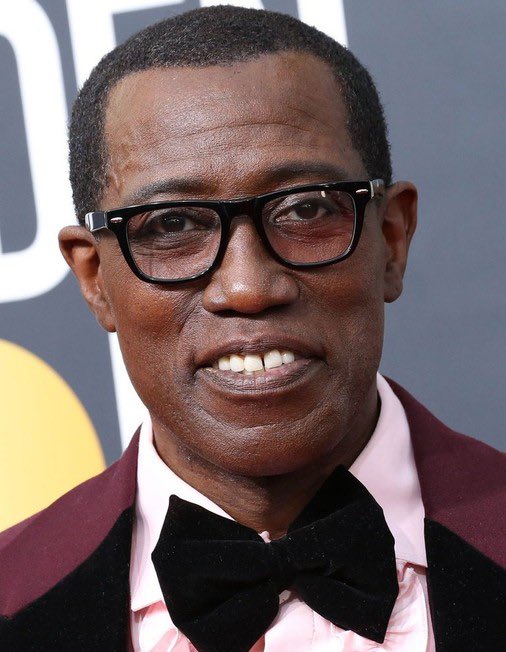 Happy Birthday to the one and only Wesley Snipes! 