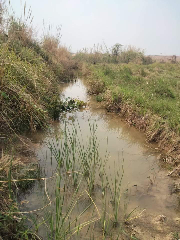 LuyLight's tweet image. Agriculture land
2500000  Square Need to sell. Place Warin District, Siem reap  provinces.
Details Contact me by tweet box. Email: luylight1414@gmail.com
Phone (855)92961414
WhatsApp 015961414