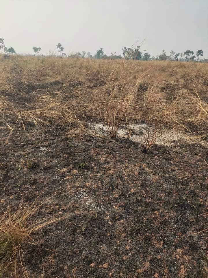 LuyLight's tweet image. Agriculture land
2500000  Square Need to sell. Place Warin District, Siem reap  provinces.
Details Contact me by tweet box. Email: luylight1414@gmail.com
Phone (855)92961414
WhatsApp 015961414