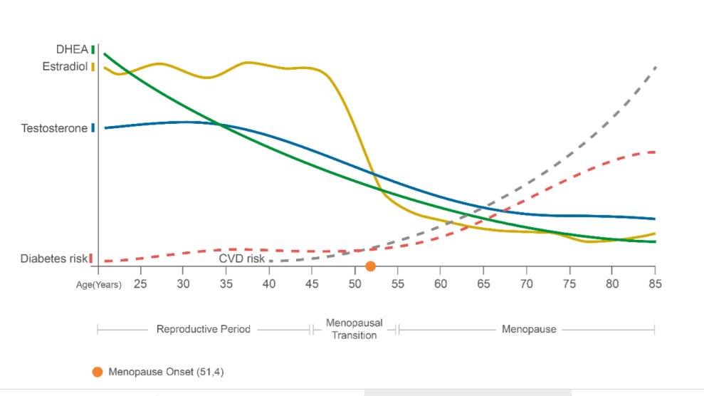 doctorneyro's tweet photo. Decrsd #ovarian #estrogen prdction nd rltive #androgenexcess arnd #menopause onset are th
mst stdied fctrs linking mpause nd #cardiometabolichealth; evidence is not big nd othr #hypotheses might expln th changes in #CMDrisk dring #menopausaltransition
https://t.co/RgQs7NJLKv https://t.co/jVtyrjXQAF