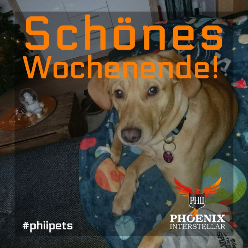 Wir wünschen ein schönes Wochenende! #phiipets #phiianimals #phinimals #phii