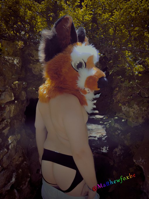 Foxxo found a cave to get wet :3 and naked https://t.co/M9mPXgGKXn<a href="/tag/yiff"class="tags"><span>#yiff</span></a><a href="/tag/murrsuit"class="tags"><span>#murrsuit</span></a><a href="/tag/murrsuitporn"class="tags"><span>#murrsuitporn</span></a>