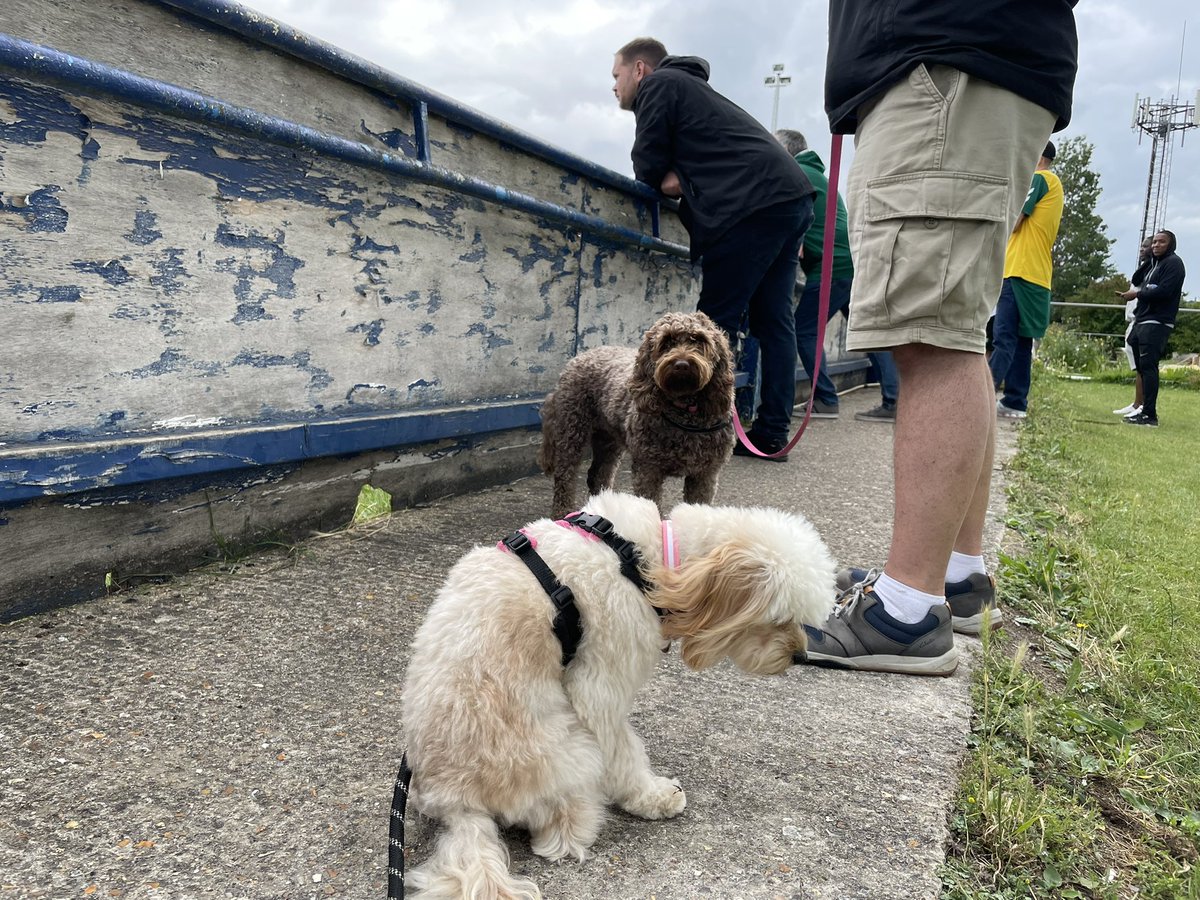 ToffeesTours tweet media