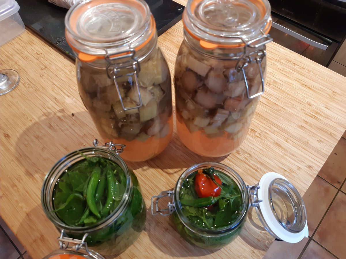 colinbreakcrop's tweet photo. Sunday we start talking about oilseed rape drilling.
In the mean time, the rhubarb and ginger gin has gone well in the locality this year, so how about mint and chilli? I know it makes great sauce but has anyone else tried? If we don't try we don't know! #csfbSMART https://t.co/kcm6MNMF3i
