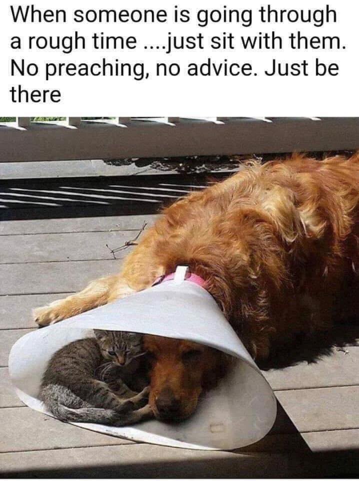 The Redneck Gospel (@matthew223540) on Twitter photo 