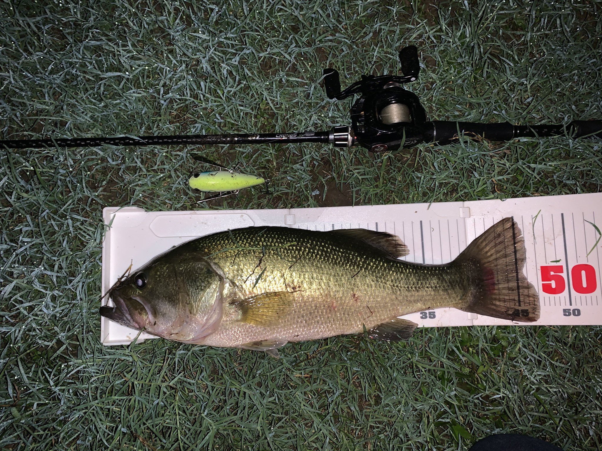 Uflure03 自作ルアーで釣った魚の最高記録 グッドコンディションの47cm 3dプリンター製のクローラーベイト 良い仕事してくれた バス釣り 自作ルアー クローラーベイト 3dプリンター T Co Wd38zsoiat Twitter