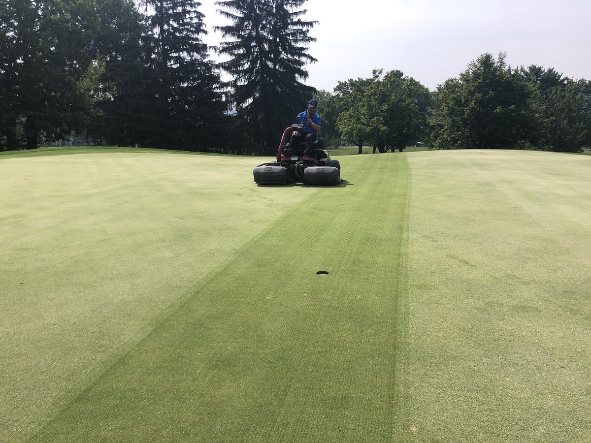 Verticuting greens