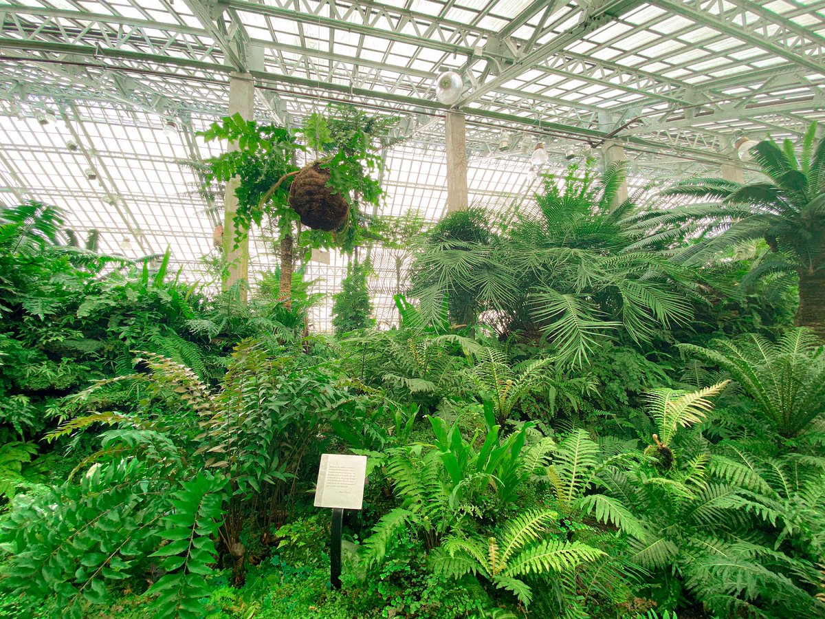 lewssangel's tweet photo. reg’s adventures in chicago: i spent a couple of hours in a green house https://t.co/za8LWUz6mY
