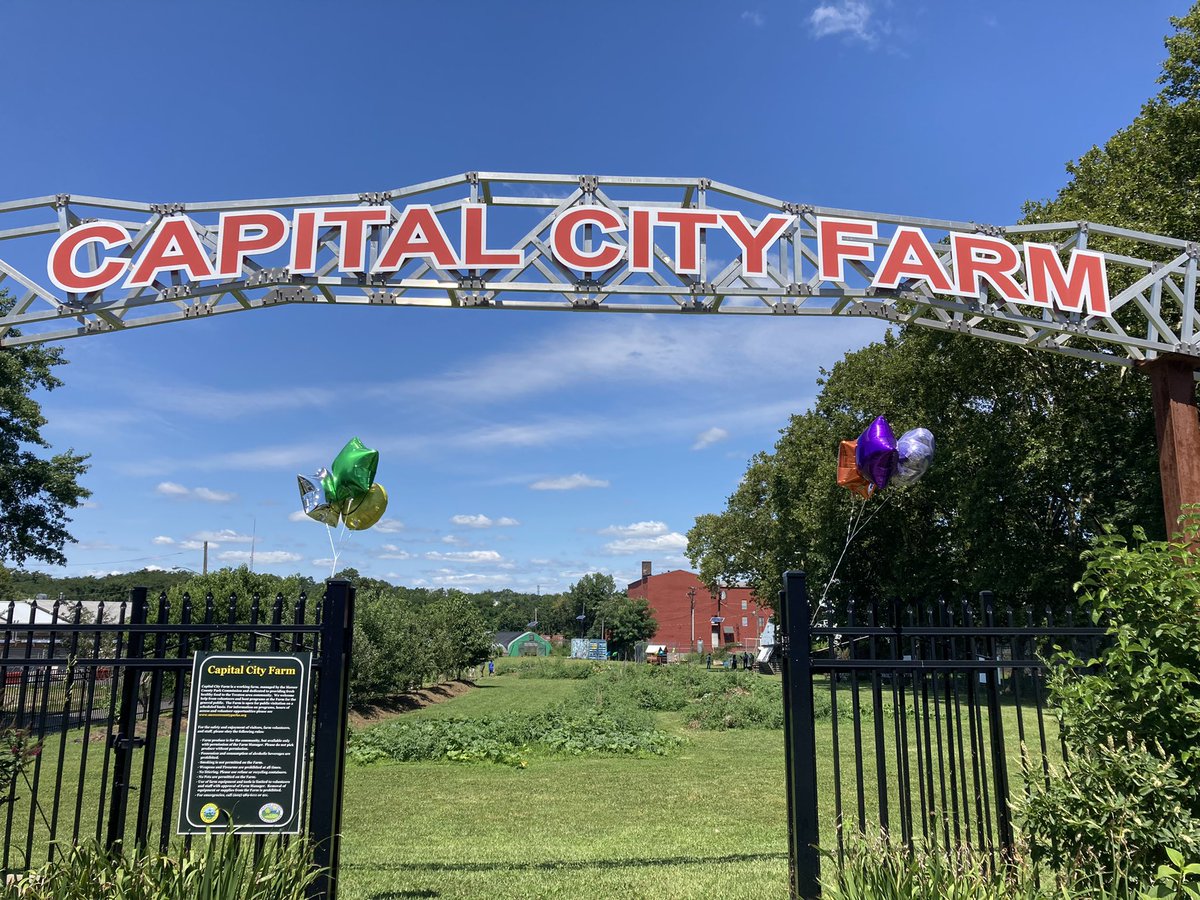 Anthony Cucchi tweet media