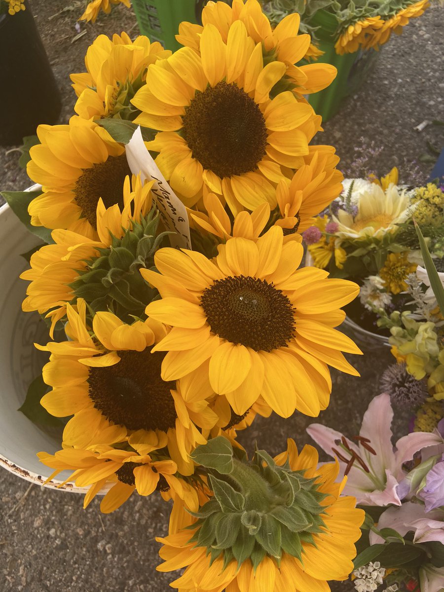 FoodDayCanada's tweet photo. Flowers...food for the soul from Castle Garden Hill. 
#flowers #gardening #FoodDayCanada #beauty  @flowerscanada https://t.co/QjUzboILGM