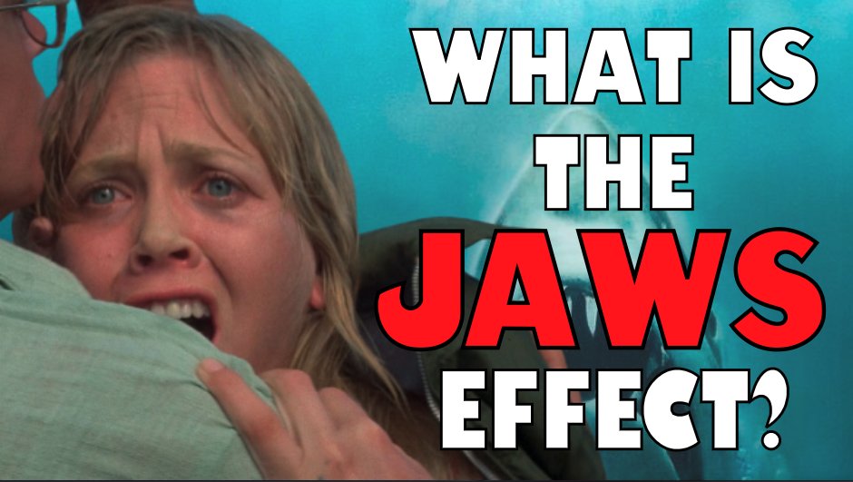 The Daily Jaws on Twitter: "Psychologist @BriannaLeBusque speaks about