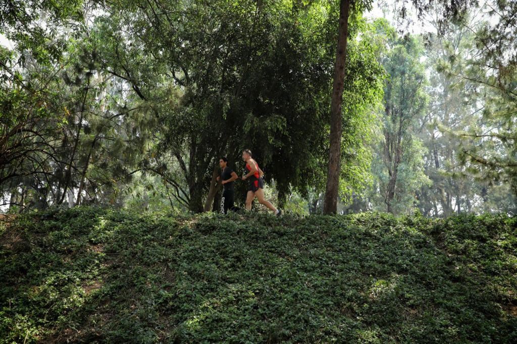 Claudiashein's tweet photo. Rescatamos el Canal Nacional. Hoy es un espacio público increíble para conectar con la naturaleza.
Quedó muy bonito. L@s invito a visitarlo este fin de semana. Vengan con su familia. https://t.co/l46oNsIVEy