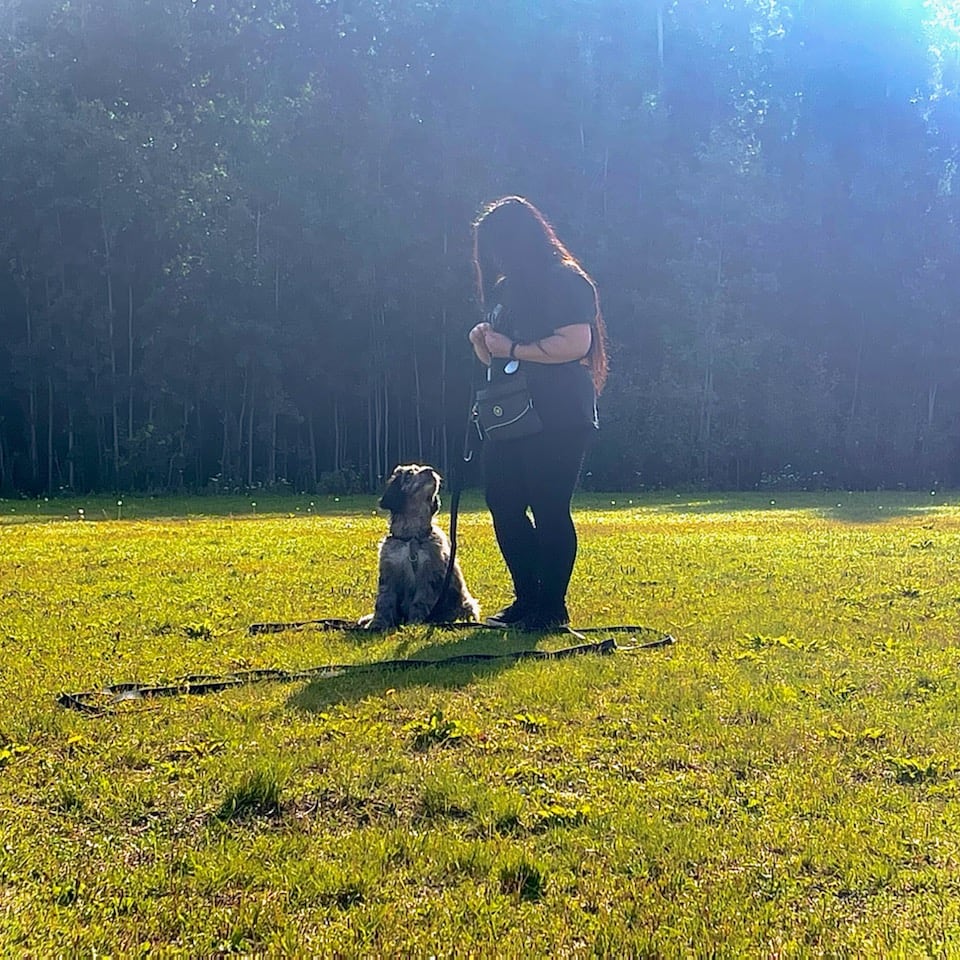 Training Erebus to be the very best. 🐾