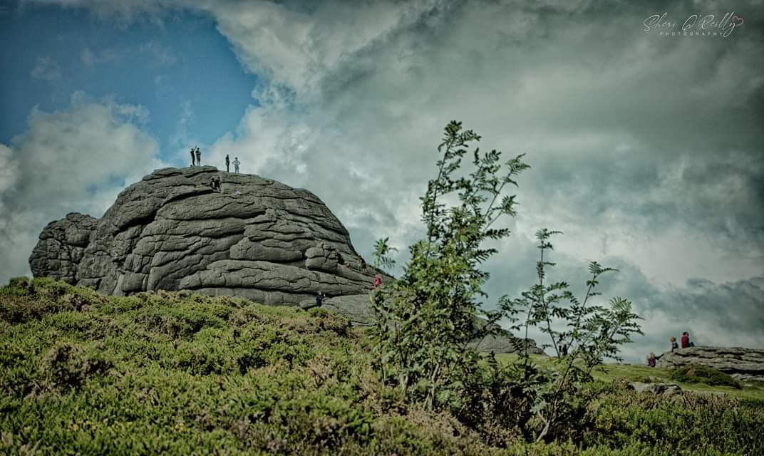 Rugged landscape
#Dartmoor #ancientlandscape #rugged #Devon