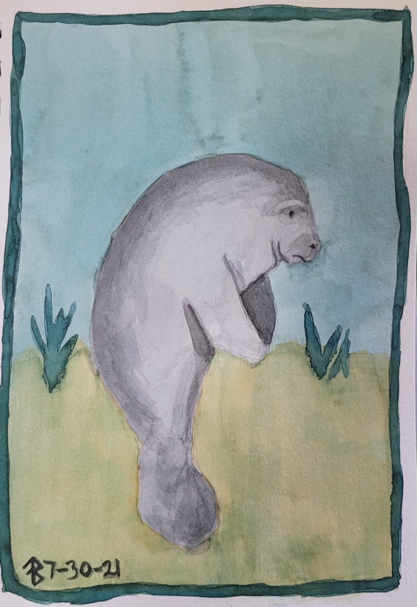 EchoShadowKid's tweet photo. A more cartoonish American Manatee piece for #faunafocus this month.

#watercolor #manatee https://t.co/NB2yu6yyCS
