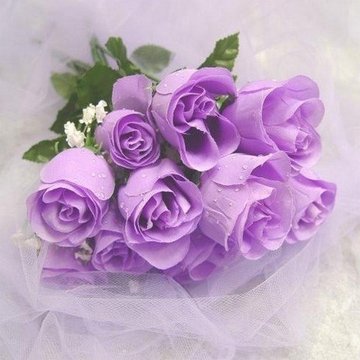 عشـق آلبنفسـج💜 tweet media
