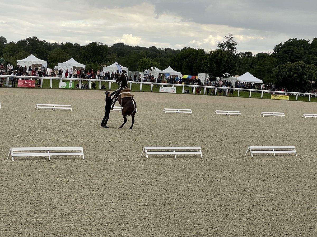 NicoleDubre17's tweet photo. 60ans de #equirando ce WE au haras de l’isle briand; manifestation autour du cheval,de la randonnée,du tourisme;un spectacle ouvert par le cadre noir.Merci aux organisateurs et au haras pour cette fête ⁦@FFEquitation⁩ #equirando ⁦@LeLiondAngers⁩ ⁦@enmarchefr⁩ https://t.co/cTWdvkeKCL