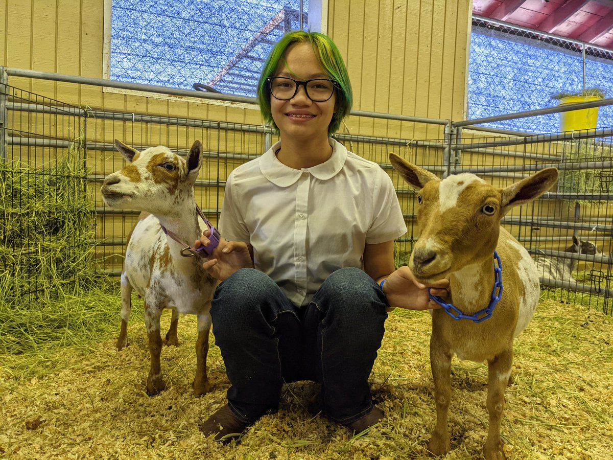 DailyDanica's tweet photo. Came in second as a pair! 🐐🥈 https://t.co/kLh4WMw1H1
