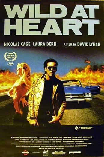 miraenotrasala's tweet photo. O bo de ter un @numaxcoop na cidade é poder volver gozar de #CorazónSalvaxe e #VeludoAzul na pantalla grande e así poder lembrarnos do fabuloso comezo de Laura Dern como musa de Lynch e como unha actriz cargada de versatilidade... https://t.co/Jrnf8DJOXi