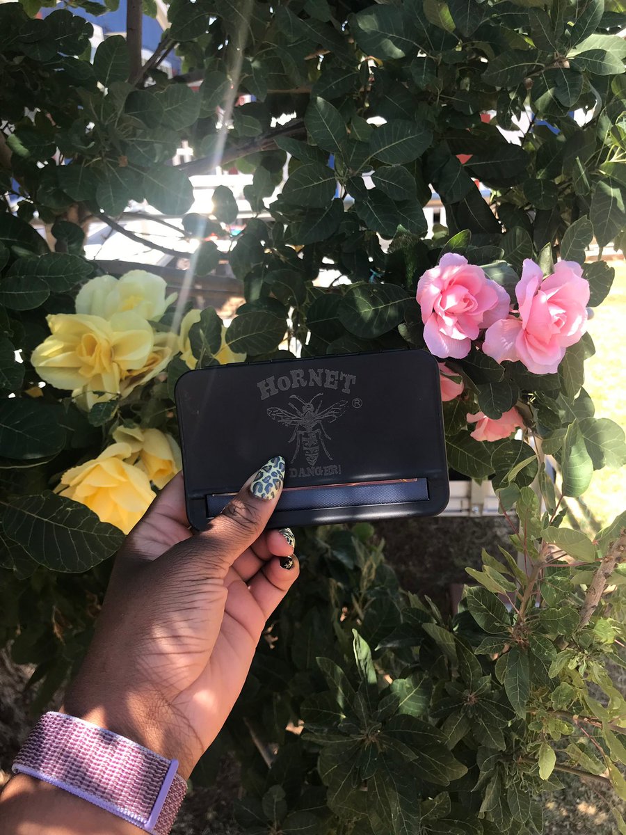 LadyandBank's tweet photo. 🌻🌻🌻

Our Automatic Cigarette Rollers are perfect for those of you who can’t roll or want to roll up quickly. They’re available in 2 sizes, 78MM and 110MM. Shop https://t.co/SrvmApv5m2 to get yours today. https://t.co/6o8OhVIJYe