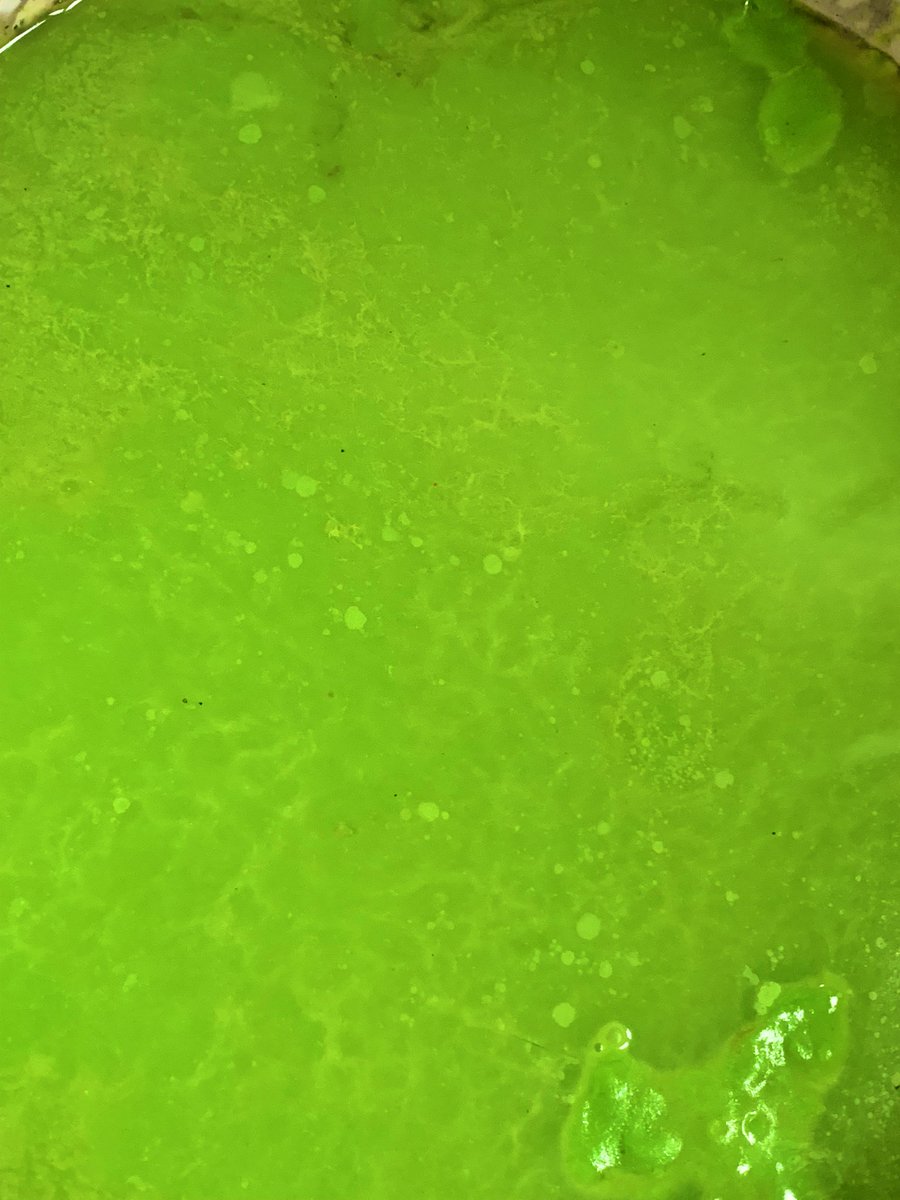 VWard1988's tweet photo. Saturday night #gunge fun is onβ¦ just need my girlfriend and her mate to get back with wine π· and my fags so that the messy party antics can begin!! So up for some bad girl behaviour tonight and Iβm not even that drunk yet haha π #messy #messyfun #messygirl #fagbreak #wine https://t.co/wSg0TlpehT