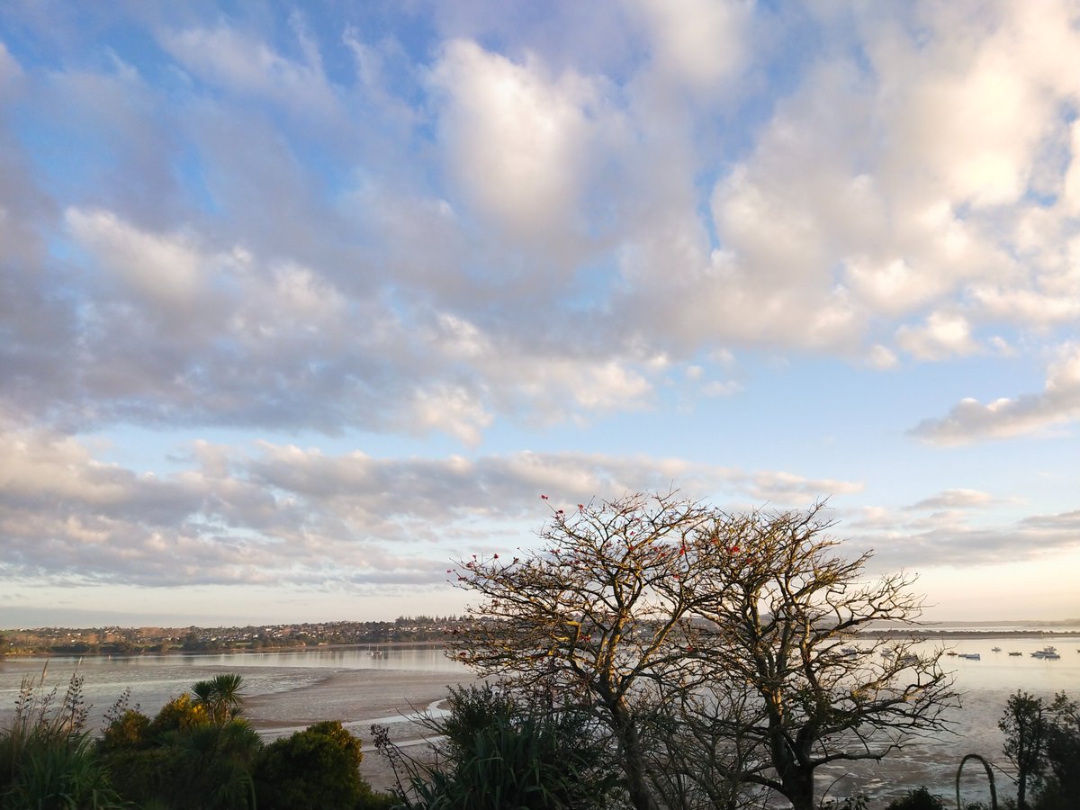 山光悦鸟性,潭影室人心。
万簇此俱寂,但余钟磬音。
                     ——常建