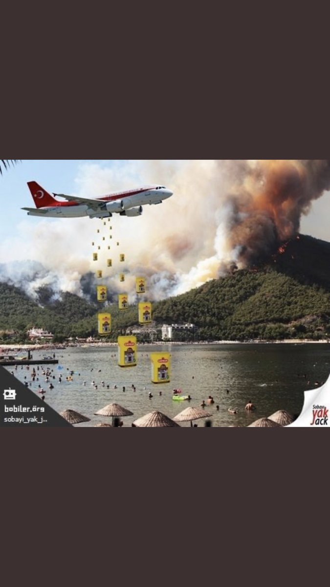 blackie pie (@tugbaomrzn) on Twitter photo 