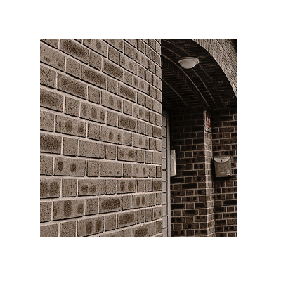 becations's tweet image. ㅤ