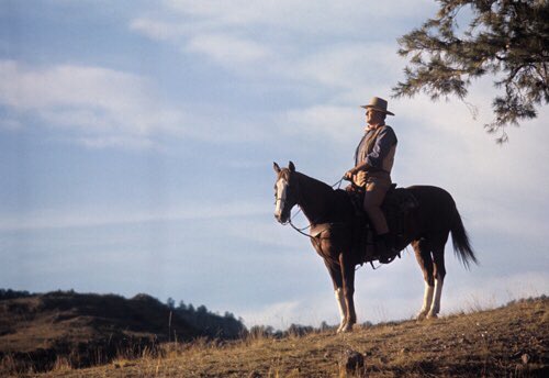 sceptreliquids's tweet photo. Cobb does his John Wayne pose as he scans his domain. #MasterOfHisDomain #JohnWayne https://t.co/To5OSa6q7J