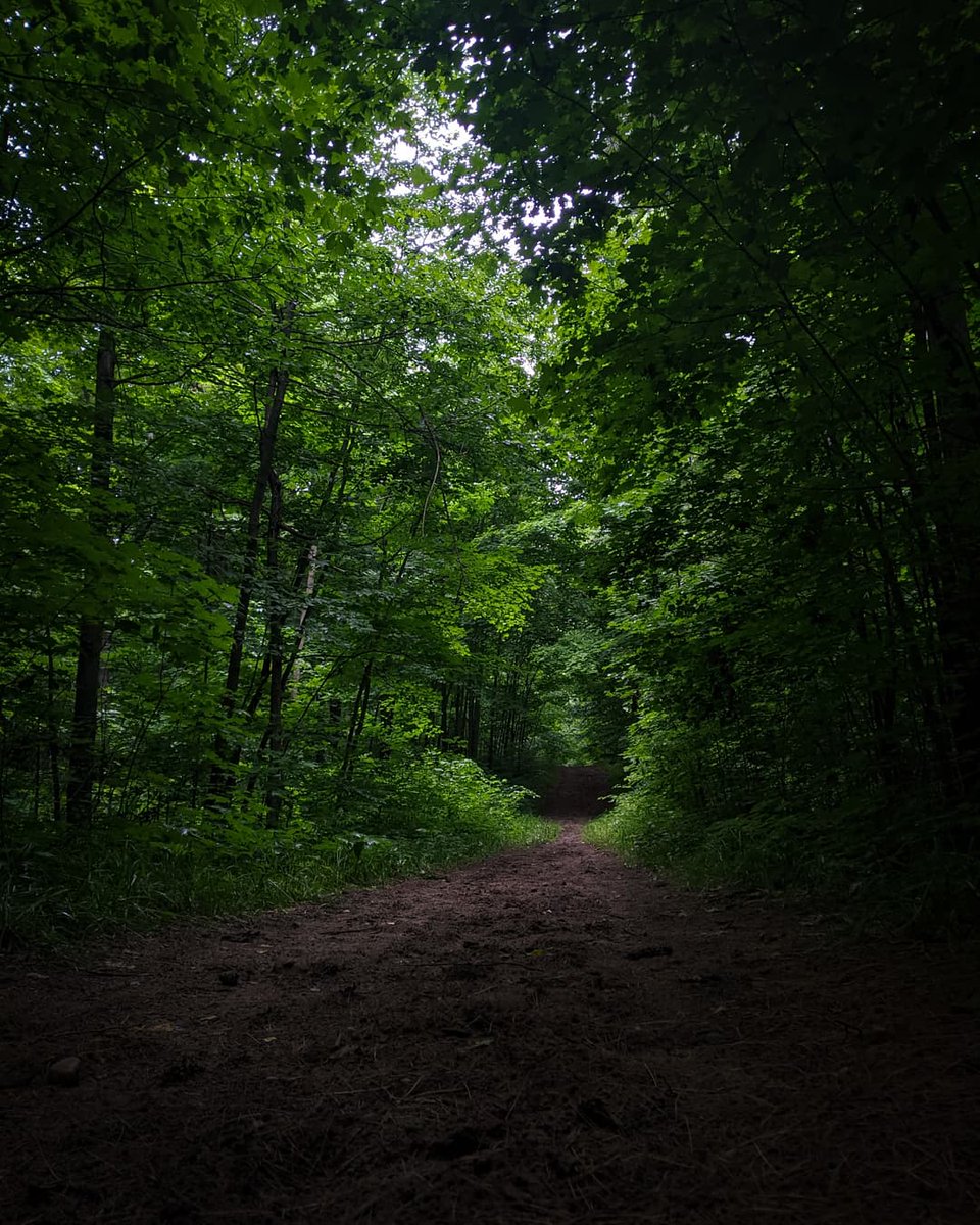 watersofmarahh's tweet photo. Day hiking at #MonoCliffs Provincial Park, #Ontario. https://t.co/glwxP2f47A