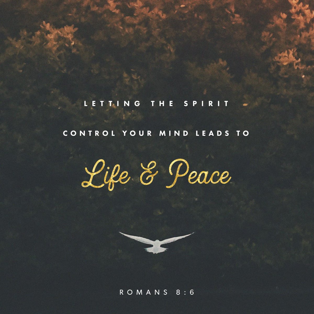 DasigTa's tweet photo. For to be carnally minded is death; but to be spiritually minded is life and peace.
Romans 8:6 KJV
#GodMorningSunday
#CarnalMind
#PeaceAndLife
#DasigTa https://t.co/oYAsZdLwAb