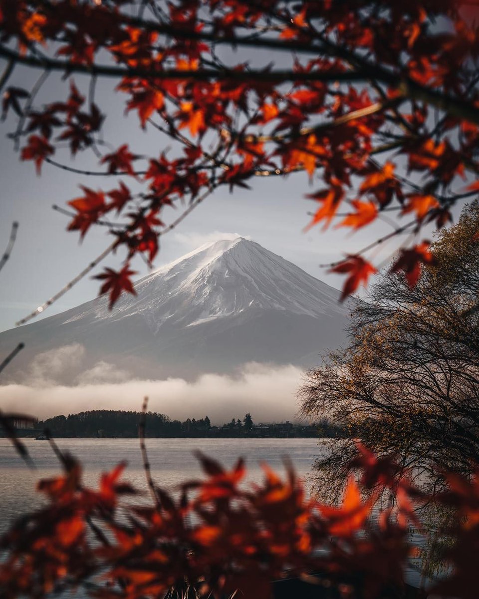 AestheticsJapan's tweet photo. Views of Mount Fuji | 📸: https://t.co/skcX5A61DN https://t.co/ea4UNmXGV6
