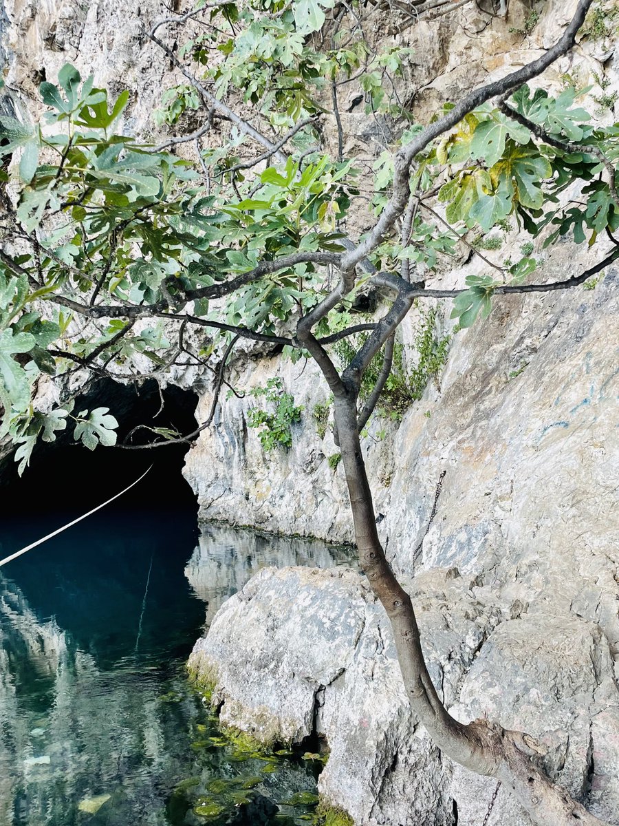cisa_cisah's tweet photo. Bosnia and Hercegovina ❤️.
#Blagaj #tekija #travel #vrelobune https://t.co/lGG8yDn7tC