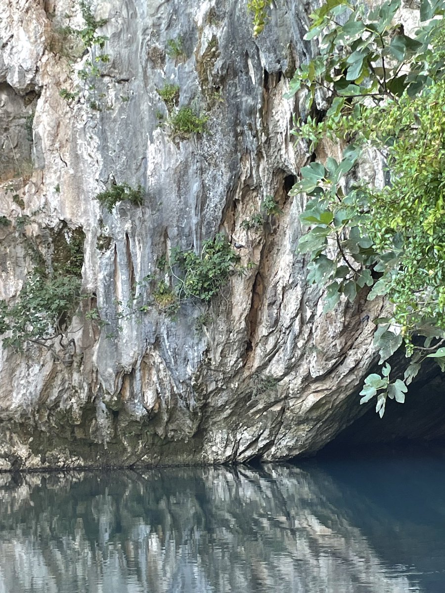 cisa_cisah's tweet photo. Bosnia and Hercegovina ❤️.
#Blagaj #tekija #travel #vrelobune https://t.co/lGG8yDn7tC