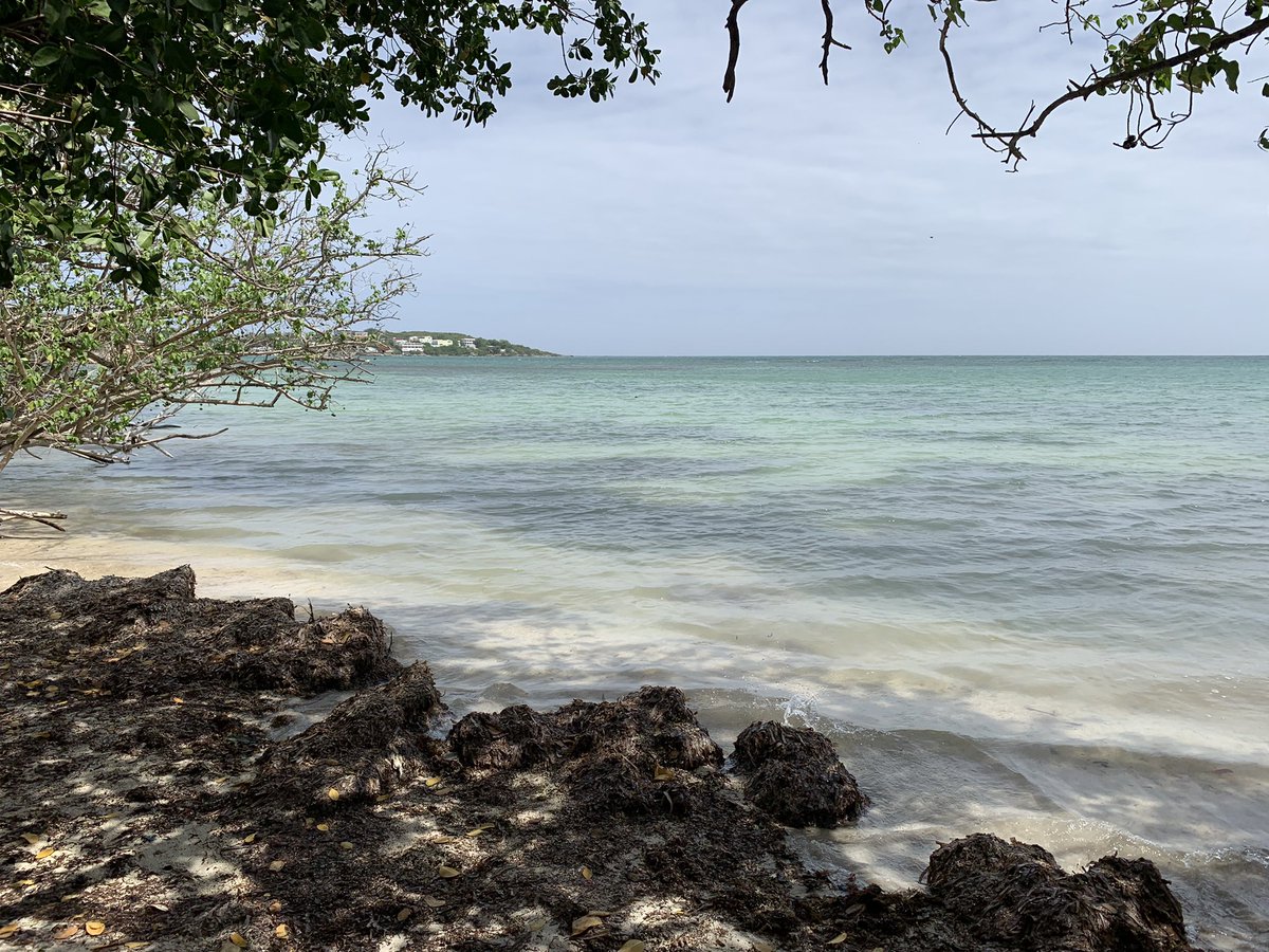 #LaJungla#GuanicaPR 🔥🔥🔥