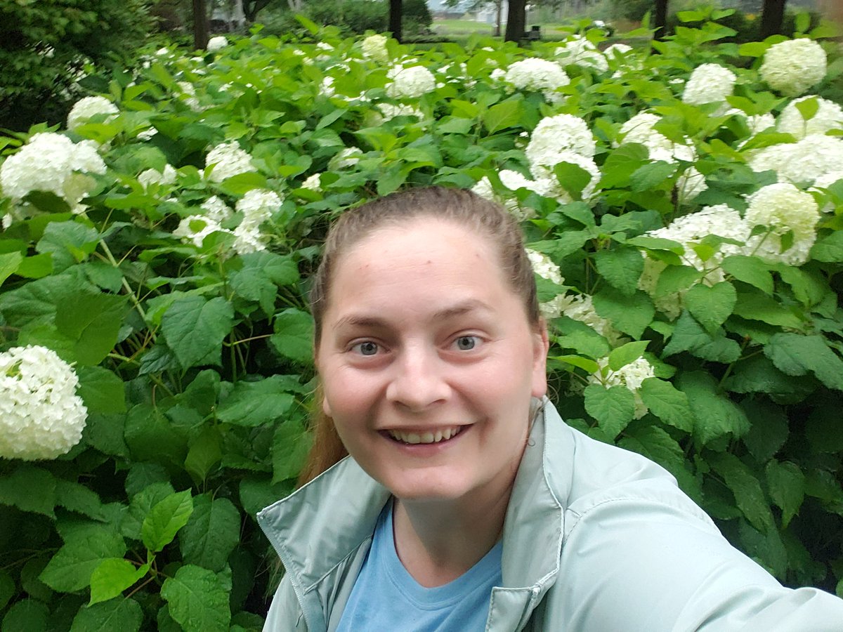 AgilitywAmanda's tweet photo. Surrounded by hydrangeas on a rainy day 😊

#hydrangea #hydrangeas #hydrangeaselfie #hydrangealove #hydrangeaseason #whitehydrangeas #selfie #koolsummerselfie #summerselfie #enjoyingtheoutdoors #randommoments https://t.co/wF7aaWgAxi