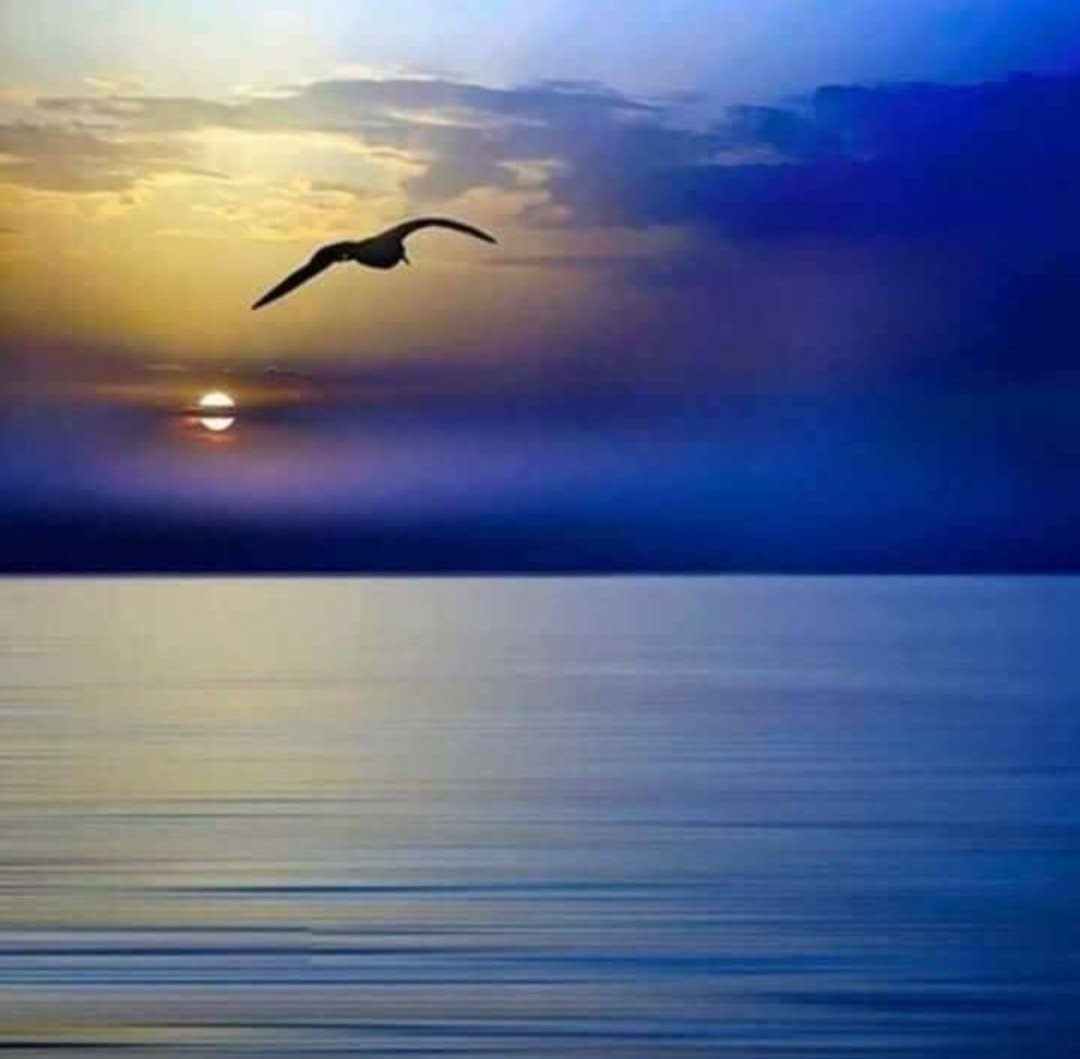 Слобода на мислите, слобода на духот, утрешниот ден да го дочекаме  спокојни
Убава и мирна ноќ