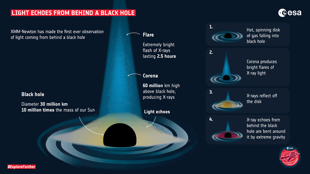 CaraSantaMaria's tweet photo. X-rays bouncing off a black holeโs disc confirm Einsteinโs predictions! ๐คฏ๐คฏ๐คฏ
#Xrays #BlackHoles #Einstein #Astrophysics #LightDetection
https://t.co/OfbzgRraPE via @CosmosMagazine https://t.co/DaxK4FR5tT